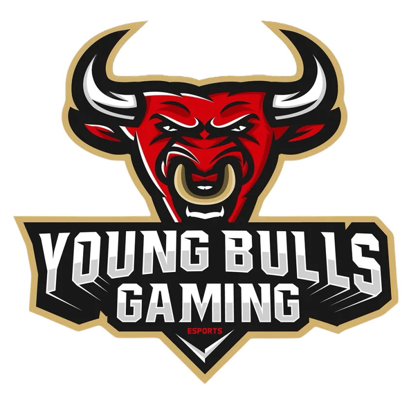 Young Bulls Gaming logo
